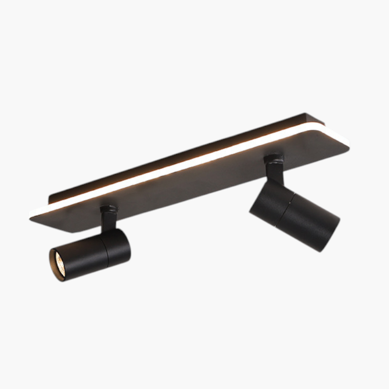 Multiple spot ceiling light