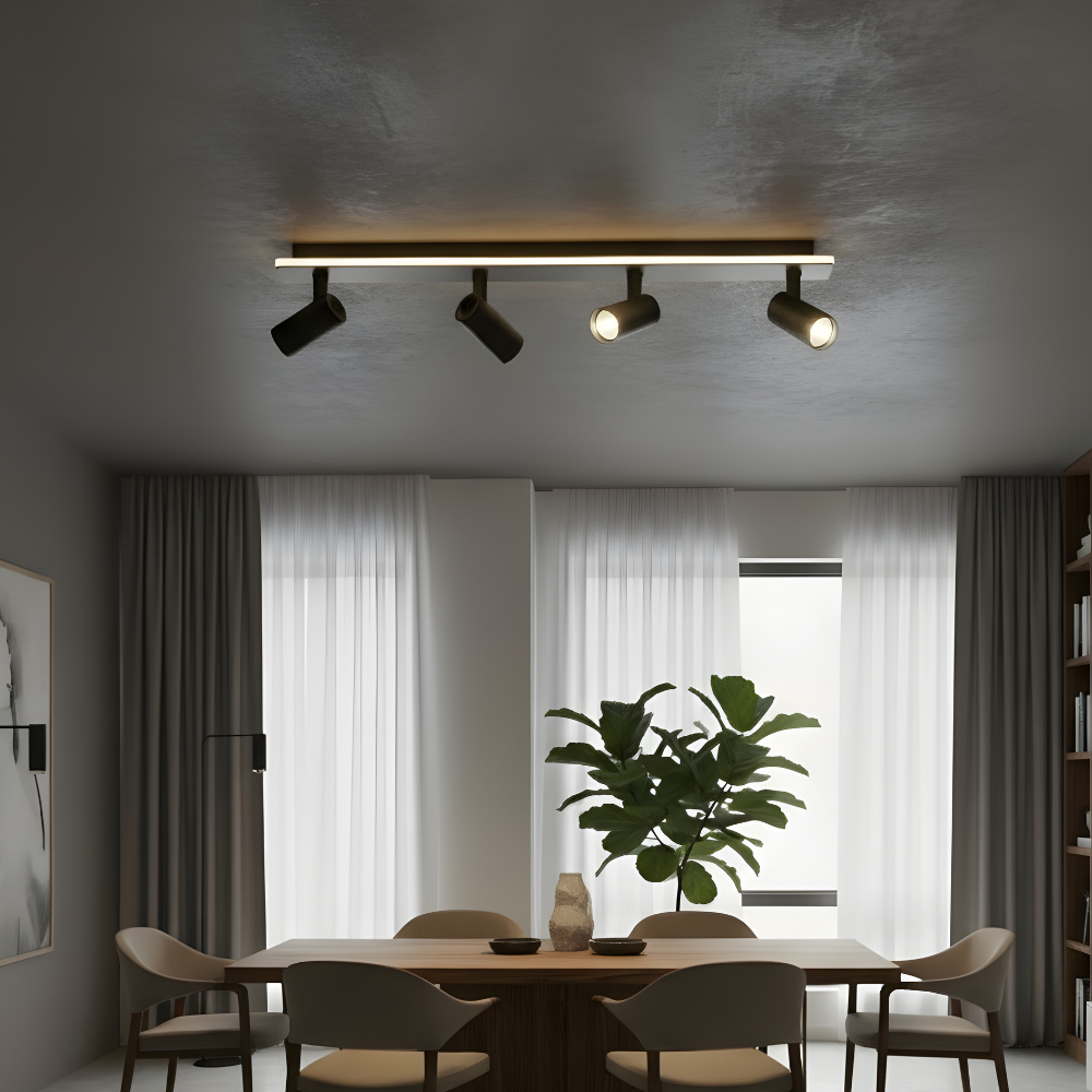 Multiple spot ceiling light