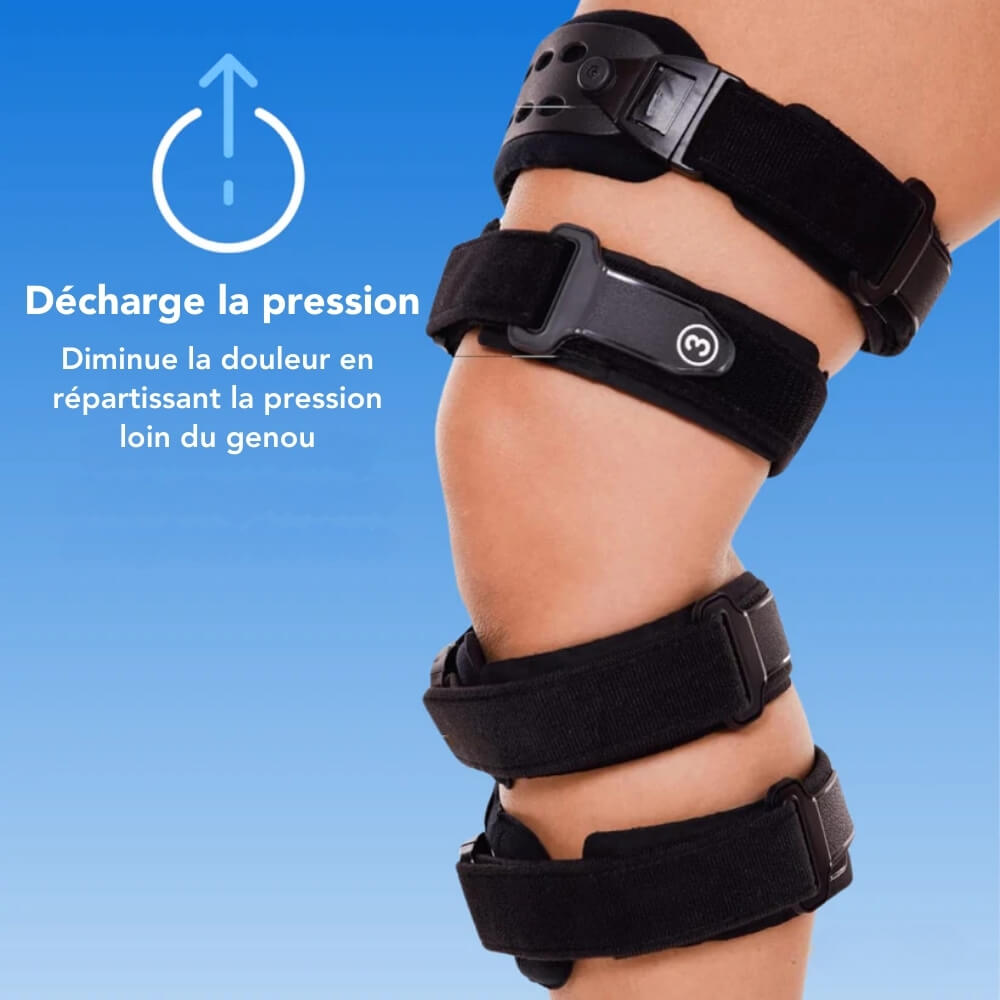 Genouillères AlignPro - Technologie ajustable pour un ajustement parfait dog trav
