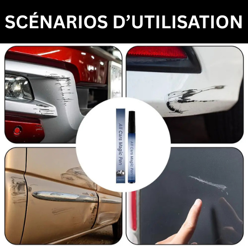 Stylo de Retouche Auto Universel™ - Réparation Facile des Rayures de Voiture dog
