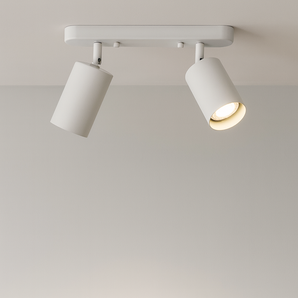 2-Head Rotating Ceiling Light