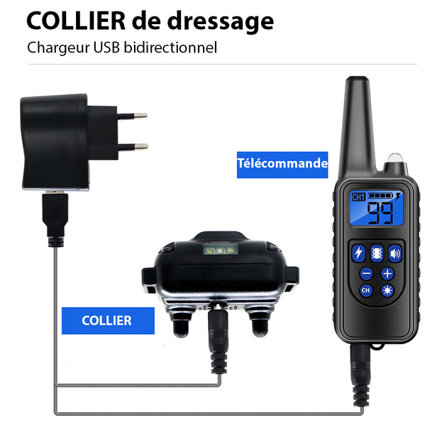 Collier de Dressage Anti-aboiement Etanche Rechargeable pour Chien - Confort Animal et Sécurité