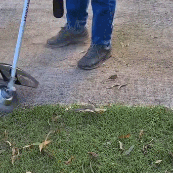 Tête de coupe incassable pour jardinage efficace travel bottle leak-proof des