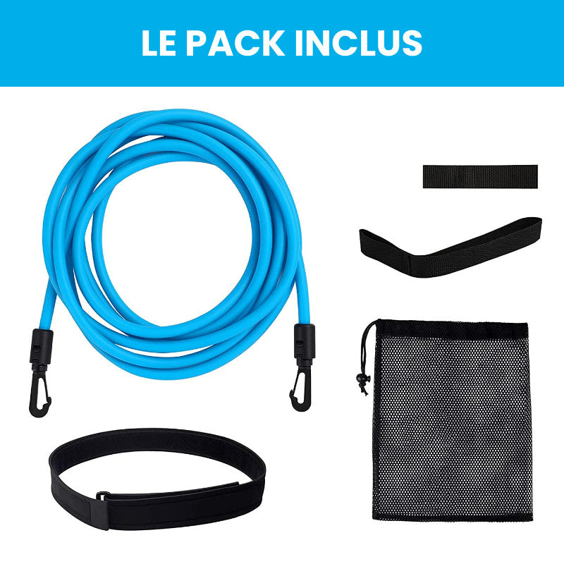 Élastique de Nage Statique pour Piscine - Idéal pour l'Entraînement dog travel bo
