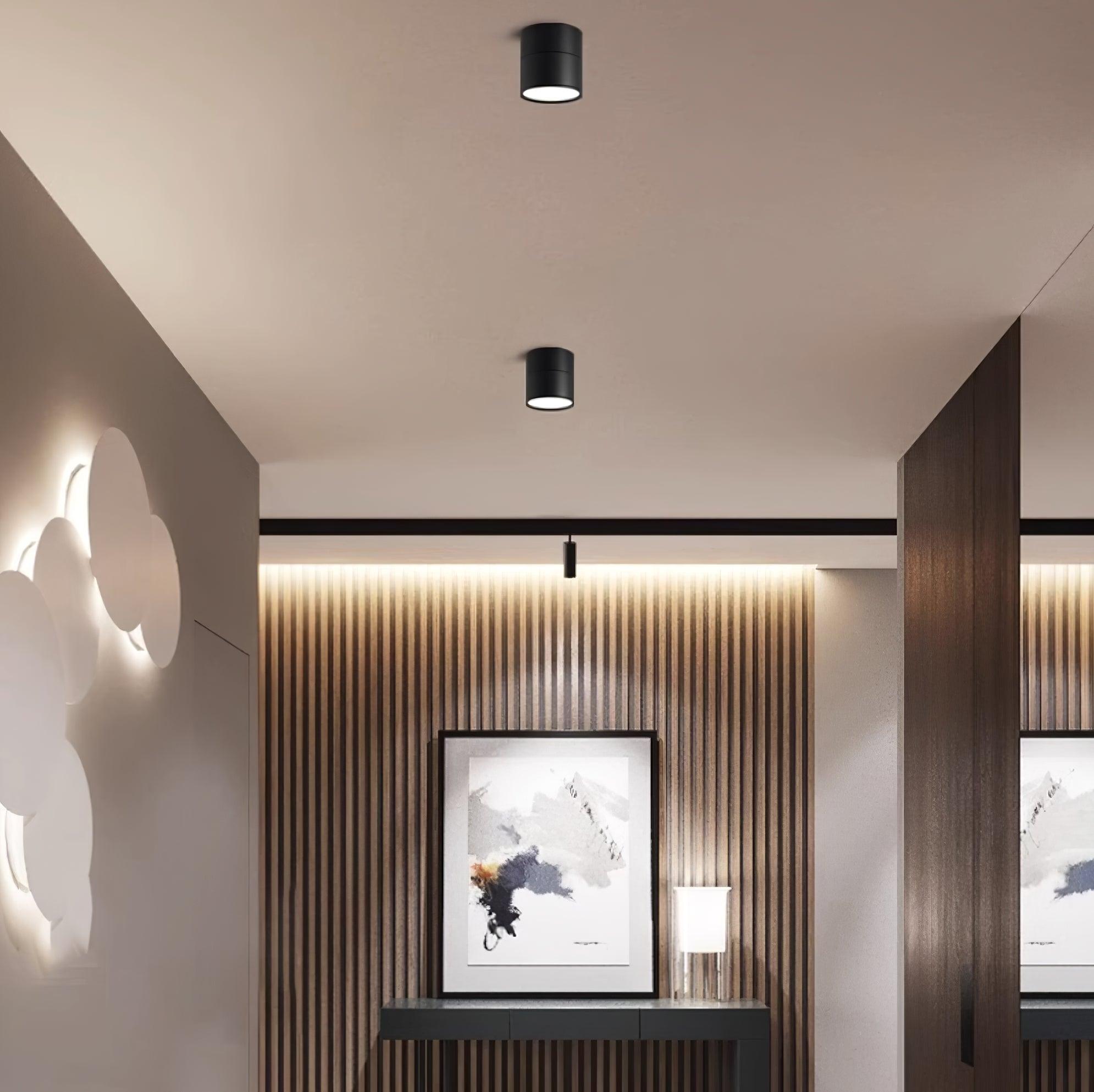 (2 packs) Surface ceiling light