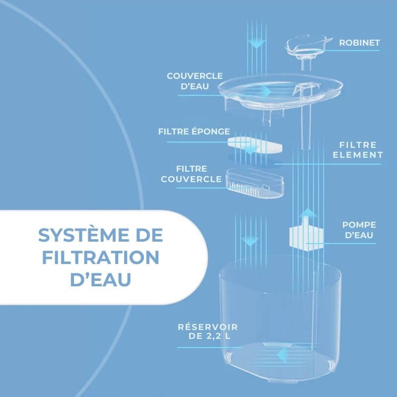 Fontaine à Eau pour Chat avec Filtre Eauflow - Hydratation et Santé des Chats, Accessoires pour Animaux
