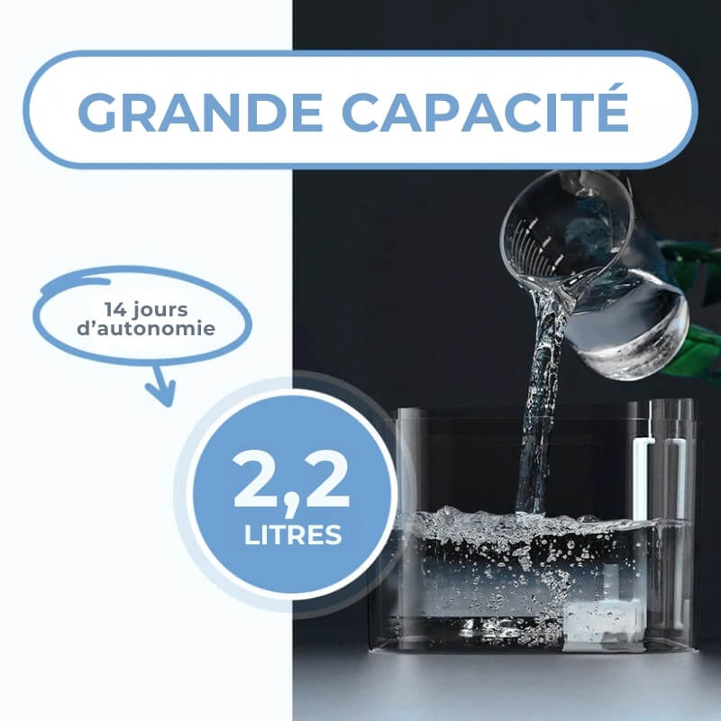 Fontaine à Eau pour Chat avec Filtre Eauflow - Hydratation et Santé des Chats, Accessoires pour Animaux