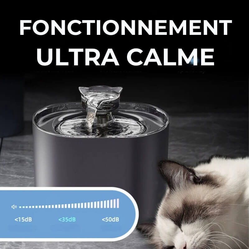 Fontaine à Eau pour Chat avec Filtre Eauflow - Hydratation et Santé des Chats, Accessoires pour Animaux