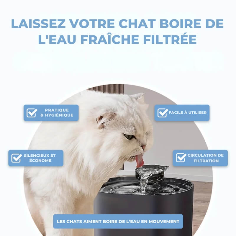 Fontaine à Eau pour Chat avec Filtre Eauflow - Hydratation et Santé des Chats, Accessoires pour Animaux