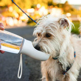 Portable Water Bottle for Dog