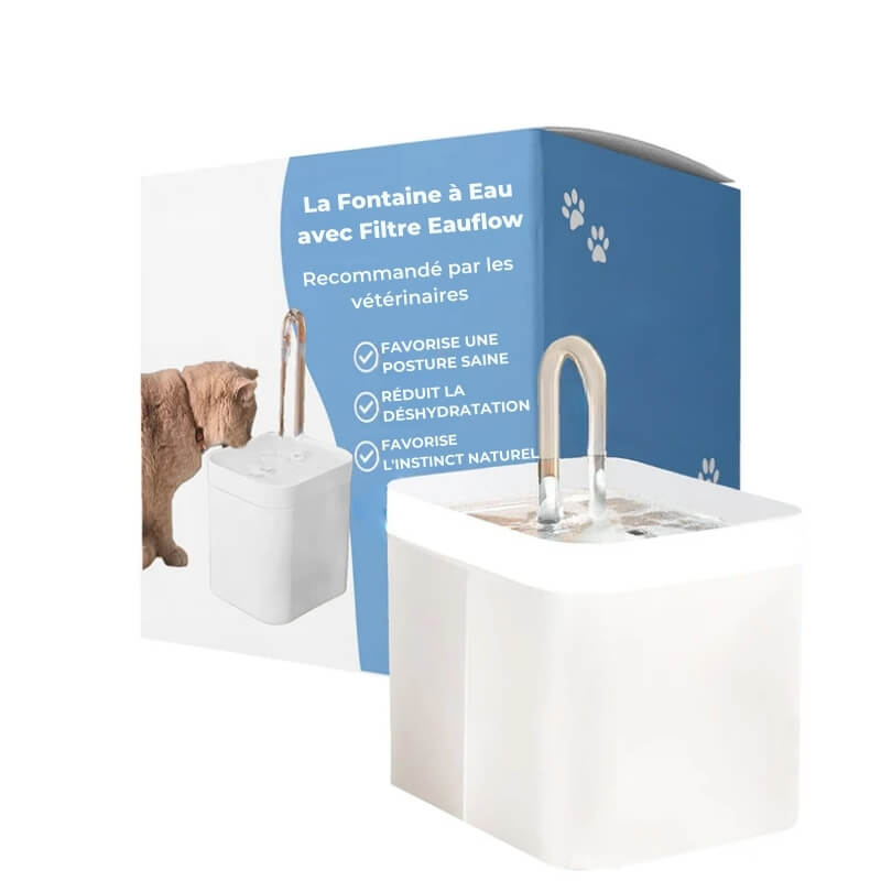 Fontaine à Eau pour Chat avec Filtre Eauflow - Blanc, Design Ergonomique pour une Hydratation Optimale