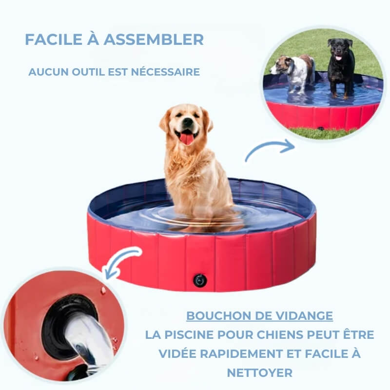 Piscine d'Été pour Chiens - Jeu Aquatique et Confort Canin - Oasis pour Chiens et Bien-être Animalier