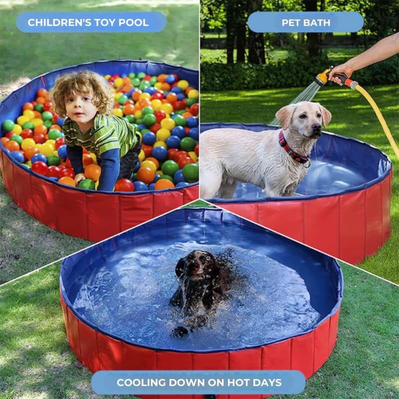Piscine d'Été pour Chiens - Oasis Aquatique pour Chiens - Piscine Gonflable Confortable