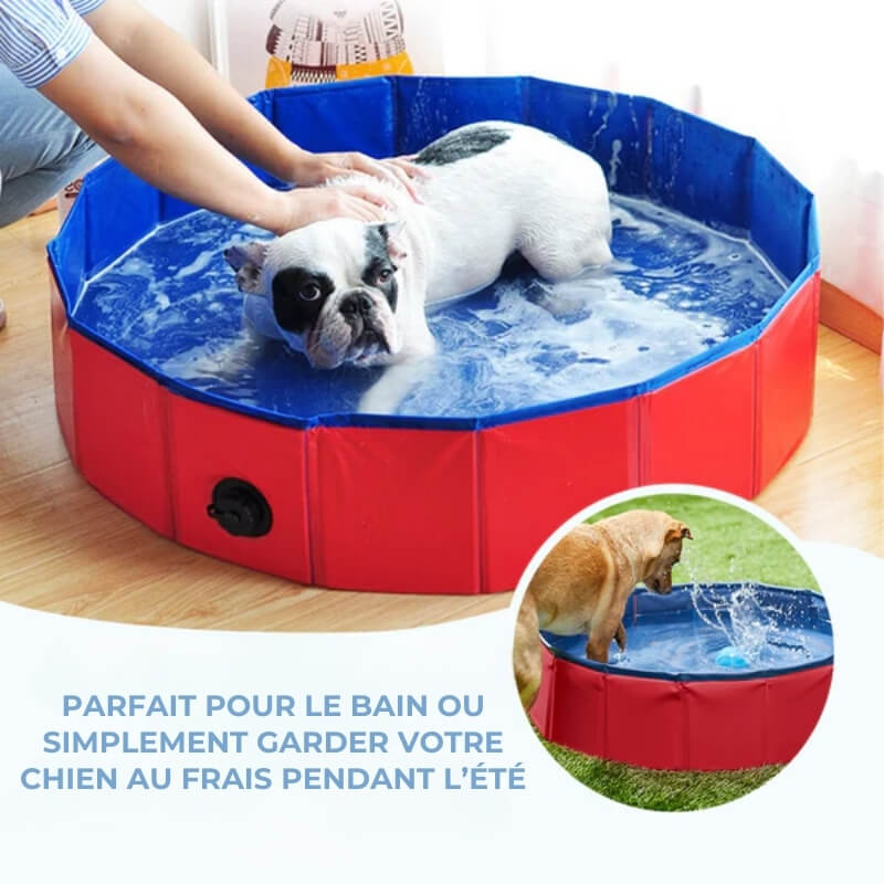 Piscine d'Été pour Chiens - Oasis Aquatique pour Chiens - Piscine Gonflable Confortable