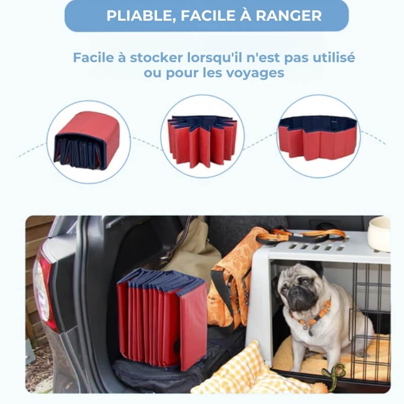 Piscine d'Été pour Chiens - Oasis Aquatique pour Chiens - Piscine Gonflable Confortable