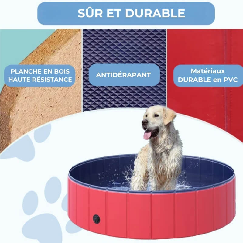 Piscine d'Été pour Chiens - Oasis Aquatique pour Chiens - Piscine Gonflable Confortable