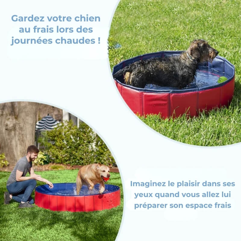Piscine d'Été pour Chiens - Oasis Aquatique pour Chiens - Piscine Gonflable Confortable