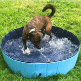 Summer Pool for Dogs