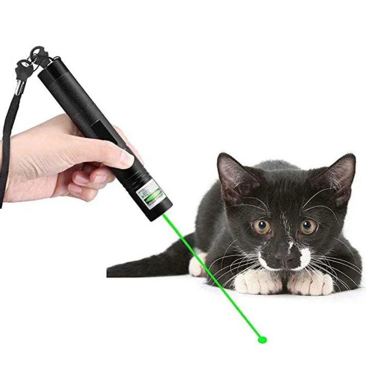 Pointeur Laser de Précision Vert pour Professionnels - Marquage Précis et Longue Durée de Vie