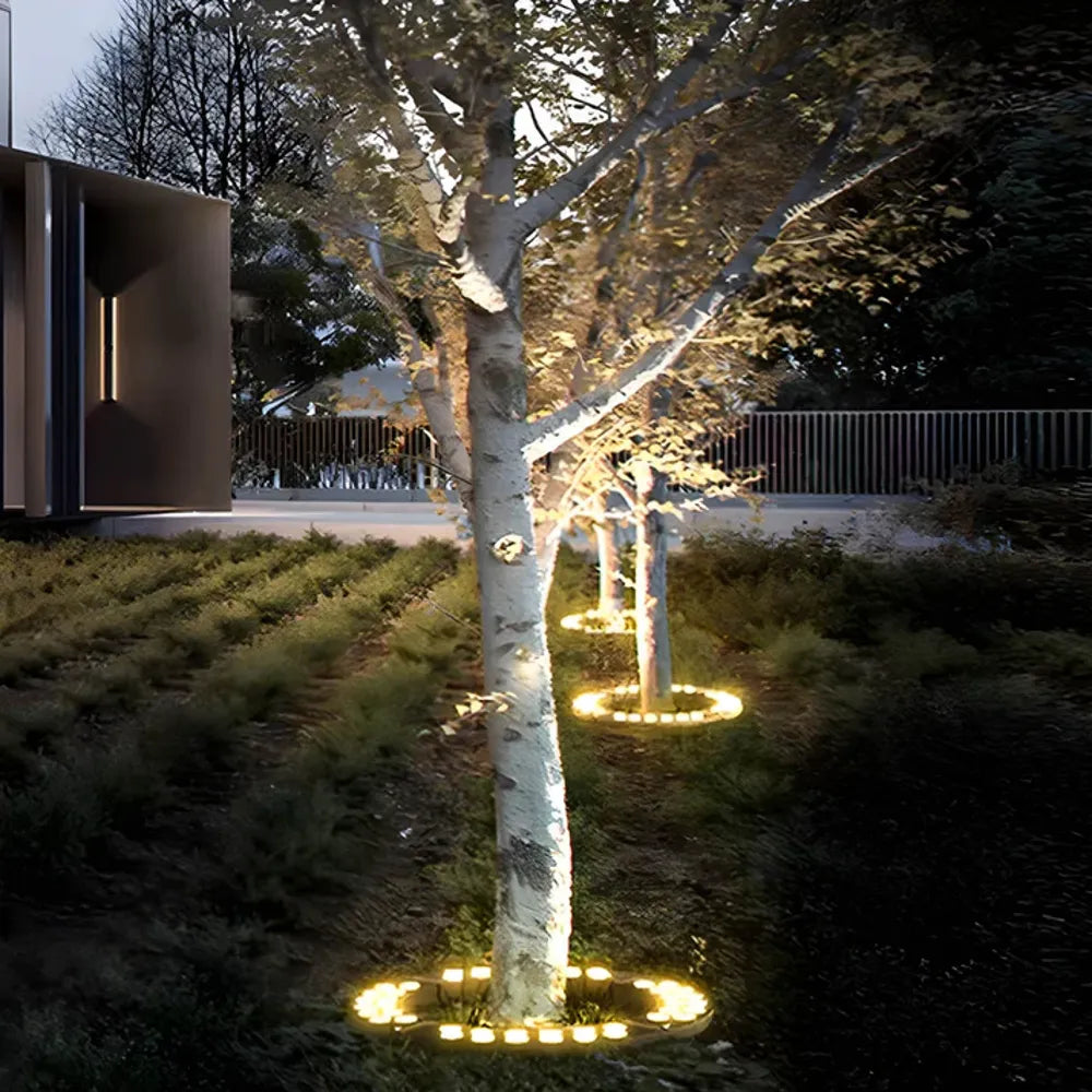 Outdoor tree spotlight