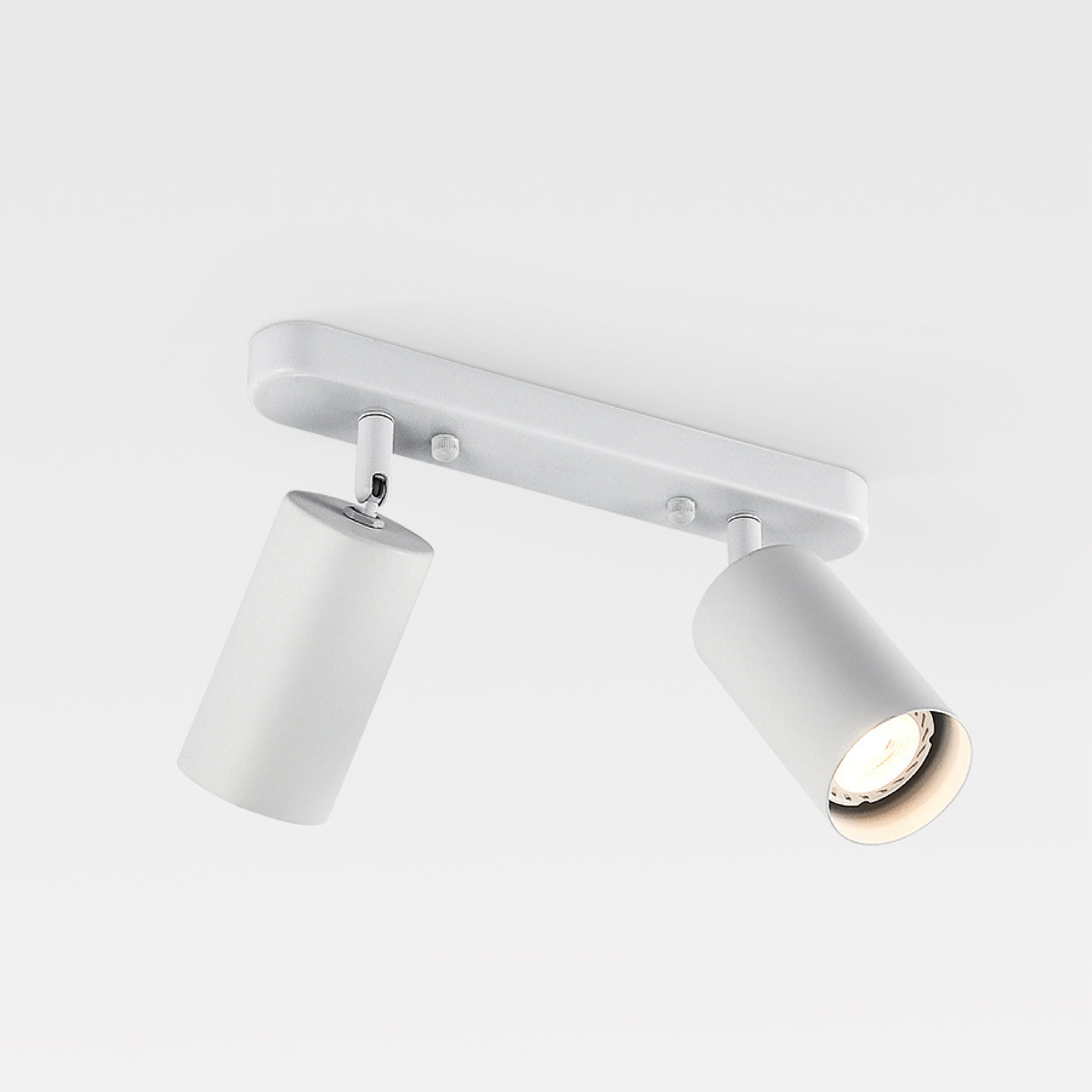 2-Head Rotating Ceiling Light