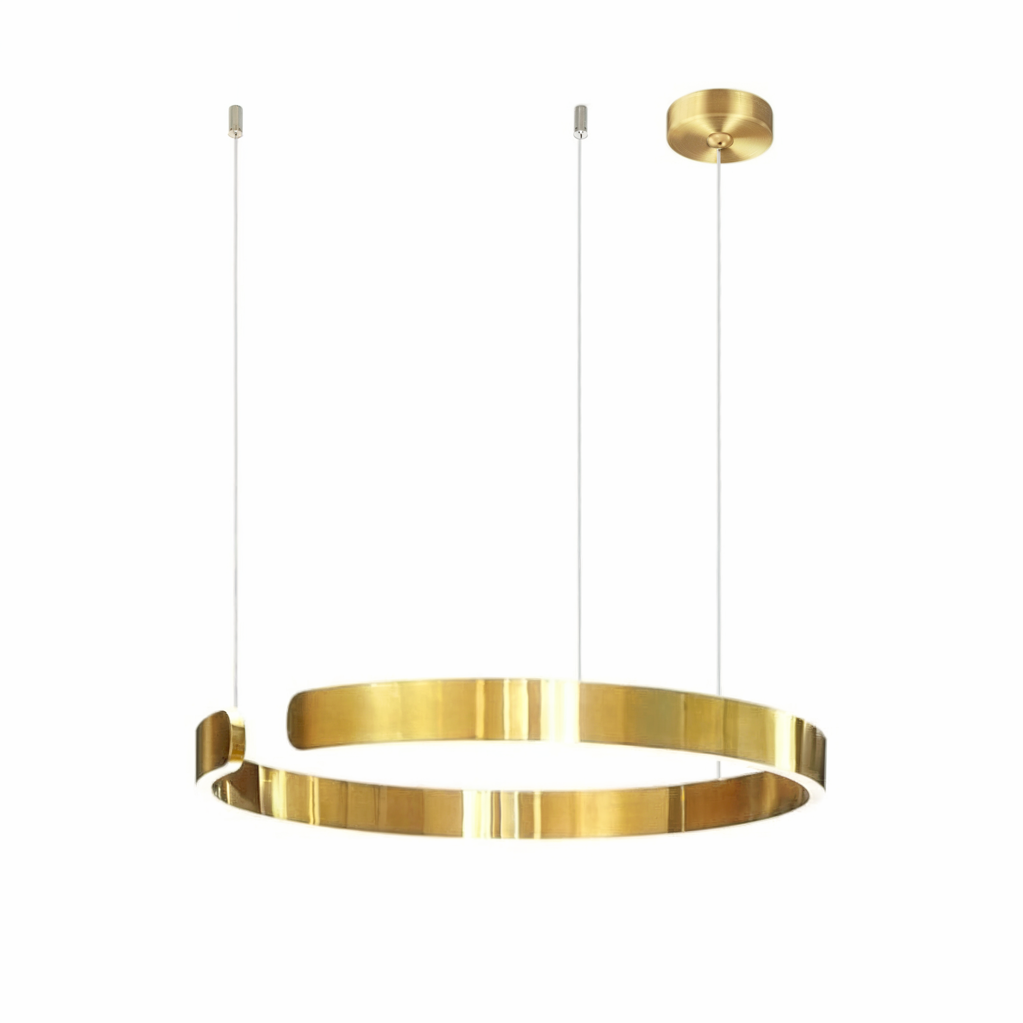Esthetica ring pendant lamp
